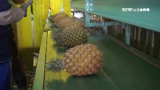 打臉中國　台灣4水果獲認可前進東奧