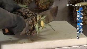 鳳梨產銷失衡　內餡非國貨救市淪口號