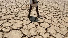 ▲（圖／翻攝自草根影響力新視野）