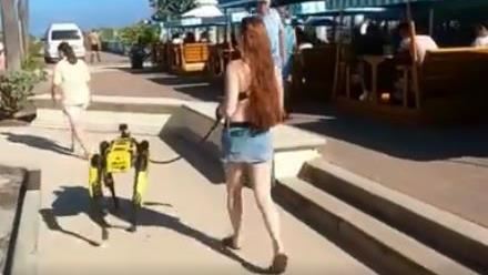佛州女子海灘遛機器狗　遊客好奇圍觀