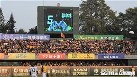 台南棒球場開幕戰球迷。（圖／記者王怡翔攝影）