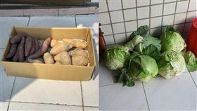  爆怨／家門多出５顆高麗菜！（圖／翻攝自爆怨公社）