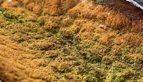 路上觀察學院／台北出現「大峽谷」秘境！俯瞰畫面曝光　網驚呆：快點來打卡。（圖／翻攝自路上觀察學院）