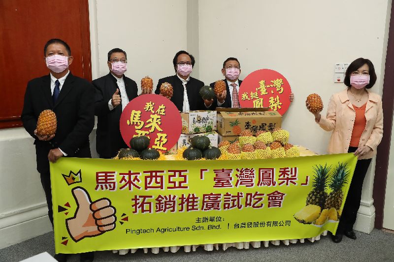 大馬華商支持台灣　將進口5噸鳳梨