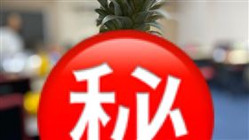 鳳梨。（圖／記者簡浩正攝影）