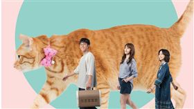 圖／中華電信提供