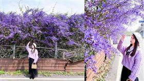 名家專用／台灣旅行趣（勿用）