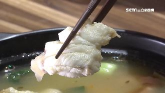 龍膽石斑料理多　煮湯、炒飯、叻沙鍋