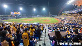 中信兄弟洲際棒球場球迷。（圖／記者王怡翔攝影）