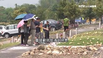 掃墓必知！先人墓塚可開紫花、禁長樹