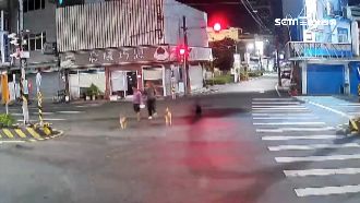 主人帶頭闖紅燈！黃狗亂竄命喪輪下