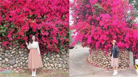 名家專用／台灣旅行趣（勿用）