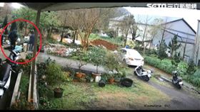 新北市,淡水,菊花,準強盜,受傷