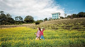 名家專用／台灣旅行趣（勿用）