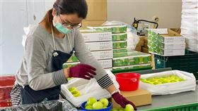 成功外銷日本  神農獎蜜棗不怕中國禁銷（1）蜜棗已到產季末，神農獎得主潘志民的農場15日仍趕著出貨日本，因中國卡關台灣鳳梨，潘志民深覺當初出口先挑戰最難的日本市場是對的，現在他的棗子可以賣向全世界。（潘志民提供）中央社記者郭芷瑄傳真  110年3月15日