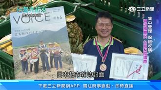 金鑽鳳梨躍國際　屏東小農實現導遊夢