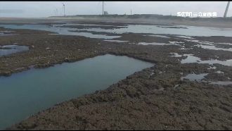 孫大千嗆縱容業者　桃市府：早開罰