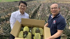 擴大外銷通路　高雄大樹鳳梨裝櫃出口加拿大高雄大樹金鑽鳳梨15日裝櫃，將外銷加拿大，高雄市政府農業局代理局長王正一（左）指出，這次鳳梨外銷加拿大，特別強化運輸過程的冷鏈溫度控制，盼繼續擴大加拿大市場。（高雄市農業局提供）中央社記者王淑芬傳真  110年3月15日