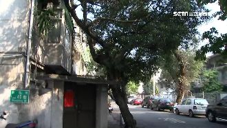 懷仁眷村國有地　違法出租賣花、賣衣