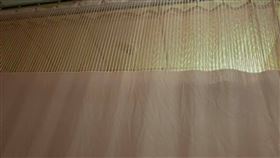 鄰居,住院,病患,聲音,干擾,探病,親友,休息