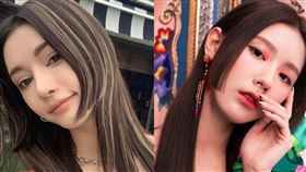 名家專用／ELLE（勿用）