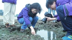 蔡英文與觀新藻礁（圖／翻攝自潘忠政臉書）