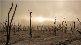 乾旱　飢荒　大旱（示意圖／翻攝自Pixabay）