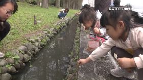 文 免費釣蝦池1200