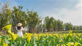 （圖／Tripbaa!達人帶路） 