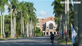 台大／台灣大學／椰林大道／台大圖書館（記者陳弋攝影）