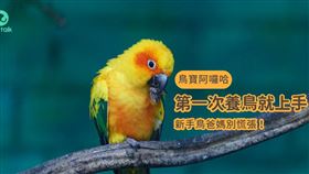 ▲圖／翻攝自PetTalk官網