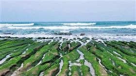 名家專用／網路溫度計（勿用）