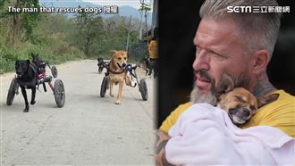 助殘疾狗獲新生　他暖舉惹淚