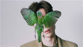 陳勢安/索尼音樂提供