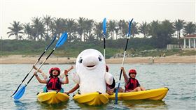 ▲海生館海洋明星「大白」體驗夜宿海生館鹽語船情活動。（圖／國立海洋生物博物館提供）
