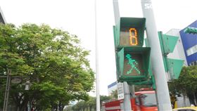 小綠人,紅綠燈（圖／記者花芸曦攝影）