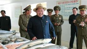 壽司郎,北韓,鮭魚,免費,朝鮮經貿文化情報。（圖／翻攝自朝鮮經貿文化情報 DPRK臉書）