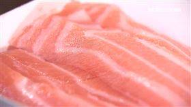 鮭魚愛吃「生」的！恐染寄生蟲害貧血