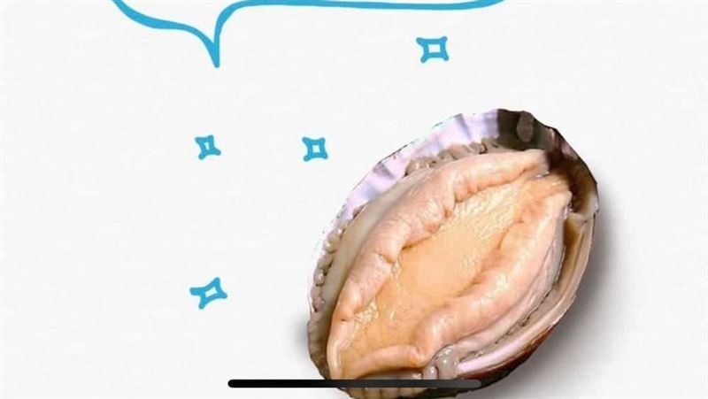 跟錯魚哏！「臭鮑魚」惹網怒業者道歉