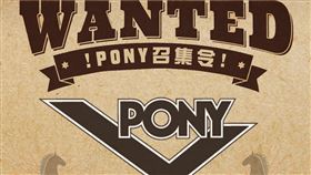 PONY。（圖／業者提供）