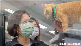 蔡英文探班「捷運橋頭糖廠站貓站長『蜜柑』」。（圖／總統府提供）