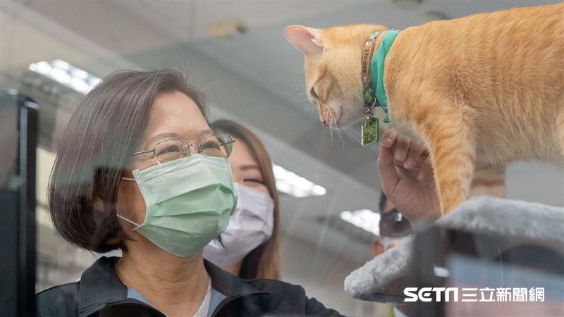 台灣首席貓奴來了　蔡英文探班貓站長
