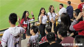 ▲樂天桃猿女團長。（圖／記者劉彥池攝影）