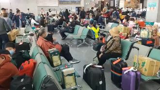 因濃霧取消11班機　千名遊客今返台