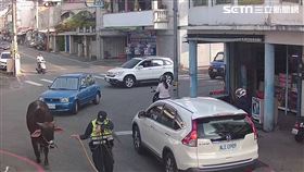 脫韁水牛,逛街,飼主,花蓮,翻攝畫面