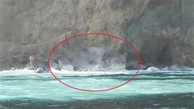 龜島磺煙睽違17年重現（賞鯨船宏棋號提供）