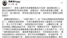 陳佩琪昨深夜在臉書發文，對疫苗開打表示意見。（圖／翻攝自陳佩琪臉書）