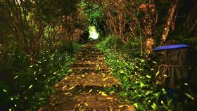 台北六福萬怡酒店2021年每季推出南港在地探索遊系列（圖／飯店業者提供）