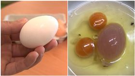  想煎荷包蛋！他一敲驚見「大巨蛋」掉出　內行狂讚：很幸運（圖／翻攝自Dcard、資料照）