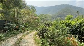 南投金龍山，擄人搶劫，毒品前科嫌犯，持槍擄走